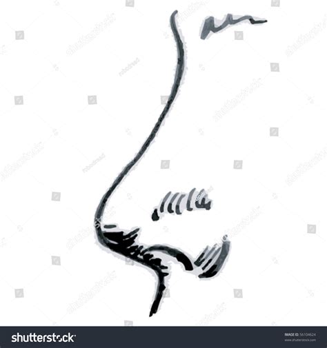 Drawing Human Nose Side Profile Vector Stock Vector (Royalty Free ...