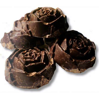 Madam Cacao Amazonia Kakaová hmota Criollo 1 kg od 1 688 Kč Heureka cz