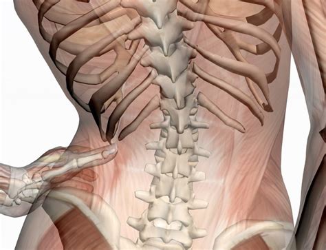 Twisted Pelvis and Treatment – Challenge Physical Therapy