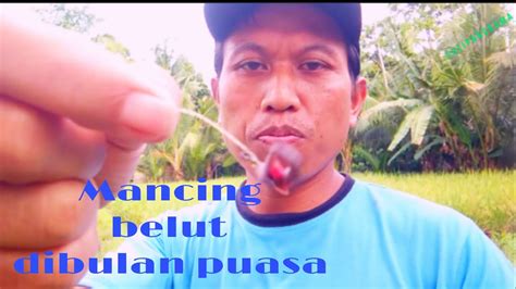 dudul belut dibulan ramdlan youtube
