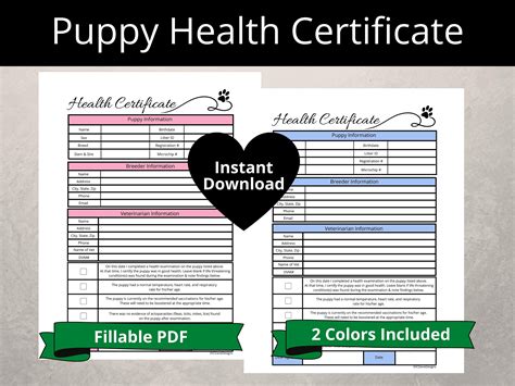 Veterinary Health Certificate Template