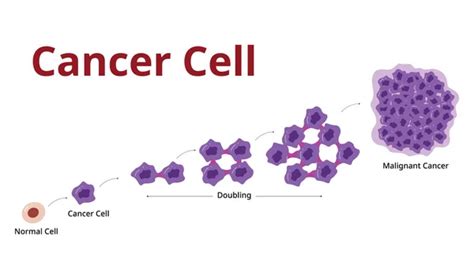 Cancer cells imágenes de stock de arte vectorial | Depositphotos