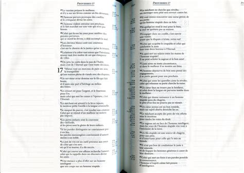 La Bible Segond Journal De Bord Avec Grandes Marges Souple