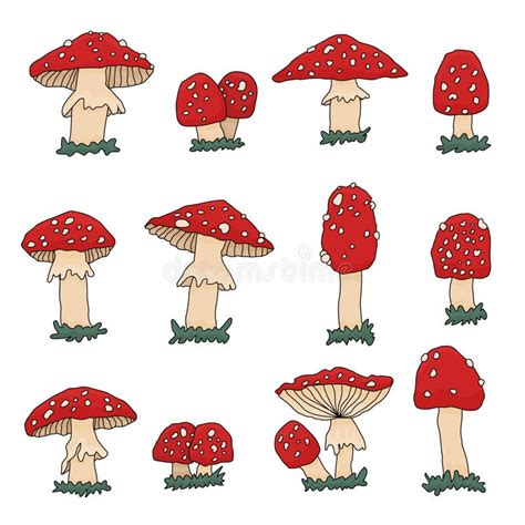 Big Set Of Hand Drawn Amanita Toadstool Outline Mushrooms Vector