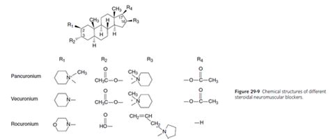 Rocuronium Flashcards | Quizlet
