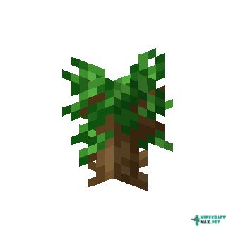 Dark Oak Sapling Minecraft