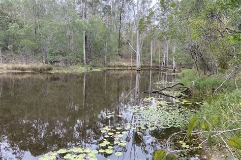 Gundiah State School Catchment Qld 4650 Domain