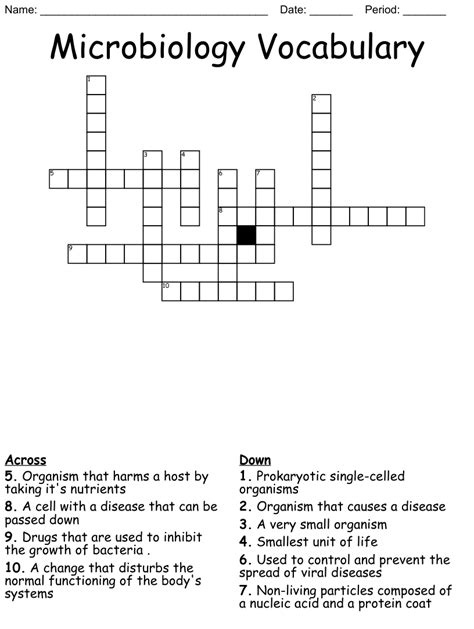 Microbiology Crossword Wordmint