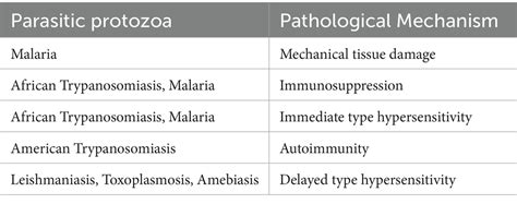 Frontiers Uncovering The Diversity Of Pathogenic Invaders Insights Into Protozoa Fungi And