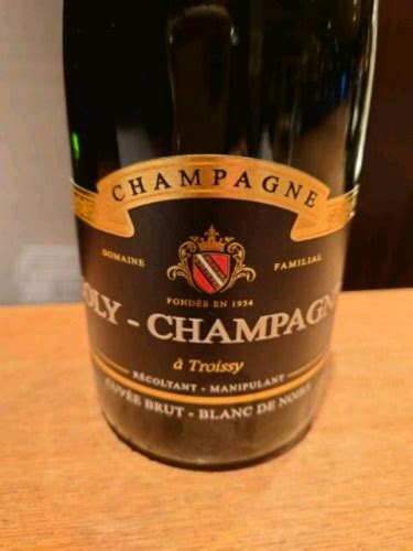 Joly Champagne Cuvée Blanc de Noir Brut Champagne Vivino