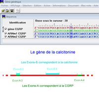 Le Logiciel Geniegen Site Des Ressources D ACCES Pour Enseigner Les