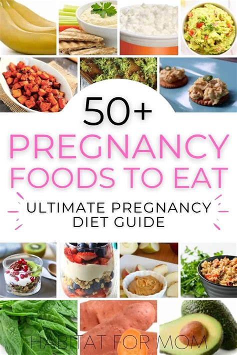 50+ Best Pregnancy Foods to Eat (ultimate pregnancy diet guide ...