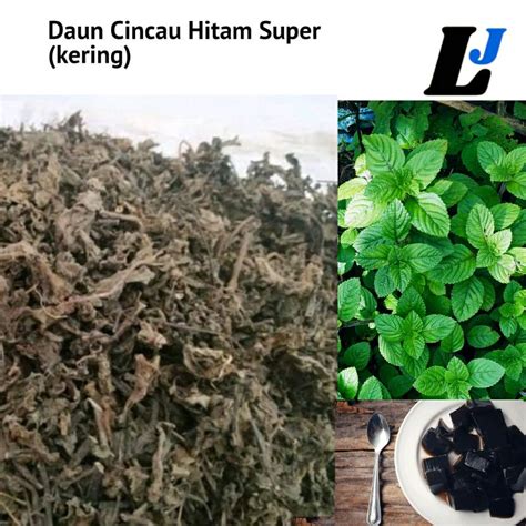 Jual Cod Daun Cincau Hitam Super Kering Kg Janggelan Original Bahan