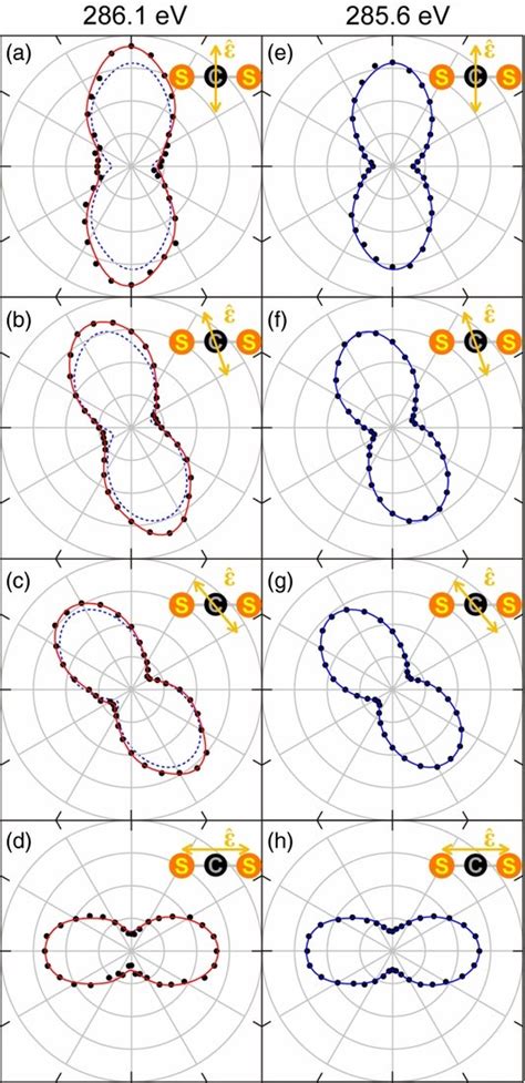 Polar Plots Of The Molecular Frame S 2p Photoelectron Angular