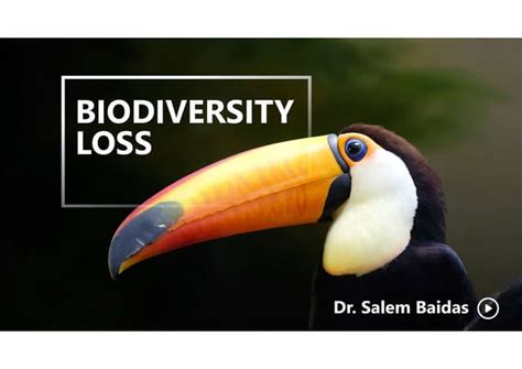 Biodiversity Loss | PPT