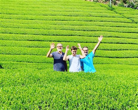 Small Group Bicycle Tour & Tea Farm Experience in Shizuoka