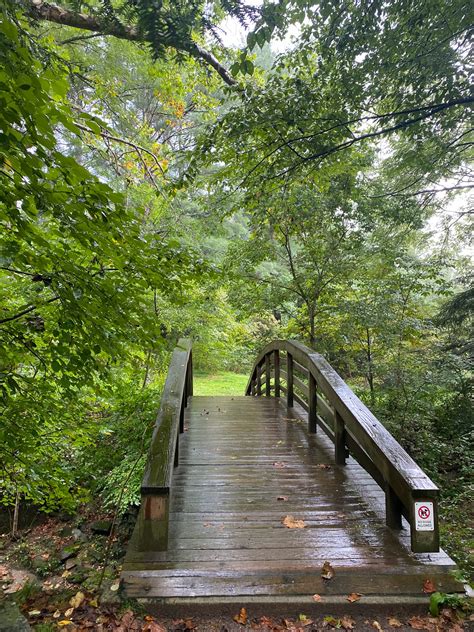 Beaver Lake Bird Sanctuary Go Wandering