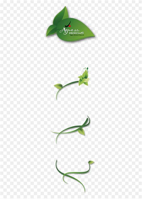 Dendrobium encuentre y descargue las mejores imágenes prediseñadas