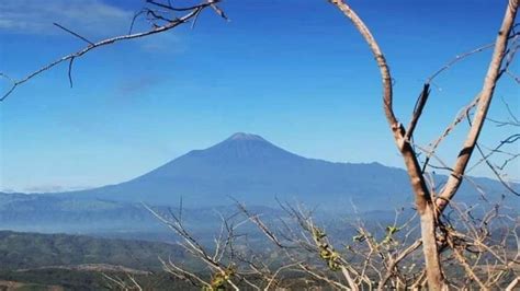 Kisah Naomi Daviola Siswi Smk Yang Sempat Dilaporkan Hilang Di Gunung