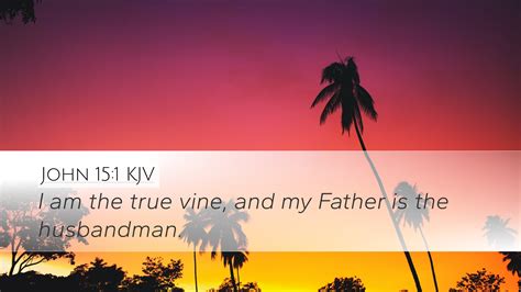 John 15:1 KJV Desktop Wallpaper - I am the true vine, and my Father is the