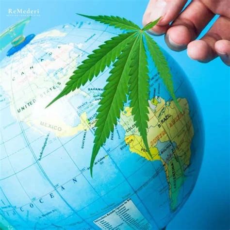 Demanda Por Cannabis Legal Cresce Nos EUA E No Mundo Remederi