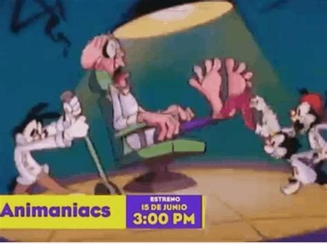 Animaniacs Y Pinky Y Cerebro Regresan A La Televisi N Mexicana