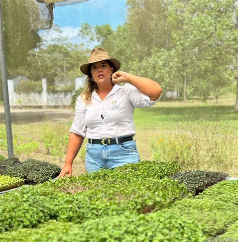 Produtoras rurais do Nordeste se destacam por boas práticas agrícolas