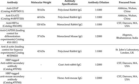 Specifications for primary and secondary antibodies used for western ...