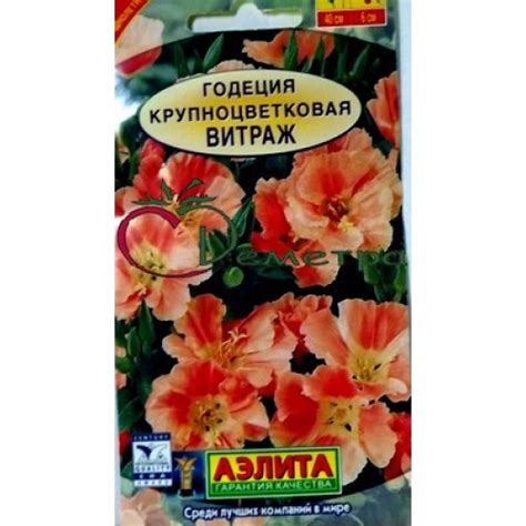 Годеция Витраж