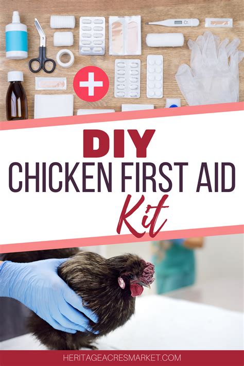 Diy Chicken First Aid Kit Chicken Diy First Aid Kit Chickens Backyard