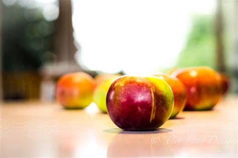 apples, apple picking, fall!!! | Apple picking, Apple, Fruit