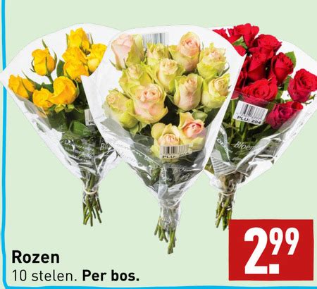 Rozen Folder Aanbieding Bij Aldi Details