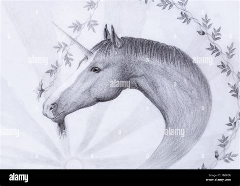 How To Draw A Realistic Unicorn Head