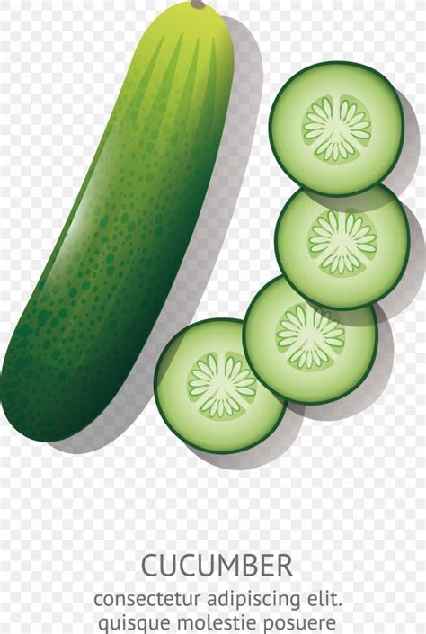 Cucumber Cartoon Animation Drawing, PNG, 1028x1531px, Cucumber, Cartoon ...