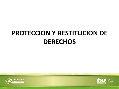 Proteccion Y Restitucion De Derechos Ppt