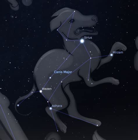 Simplified Science: Know the Constellation - Canis Major