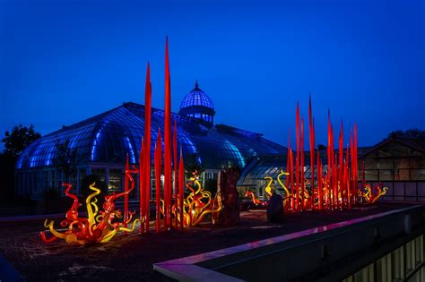 Chihuly Garden And Glass At Night | Fasci Garden