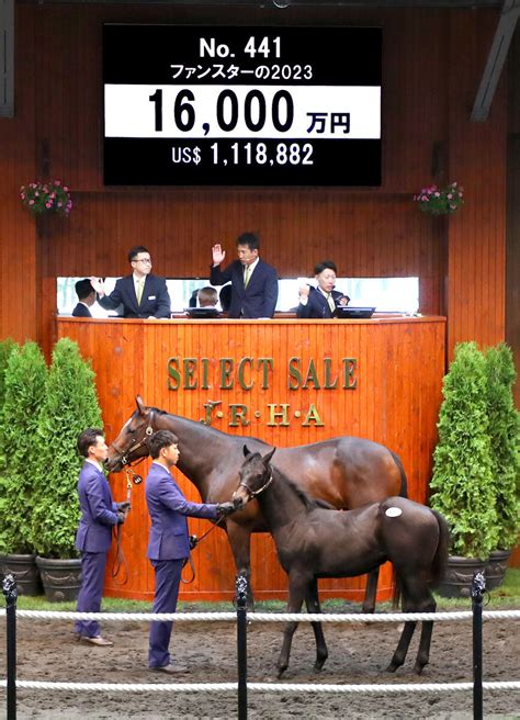 【セレクトセール】母が豪マイルg1馬のキズナ産駒は1億6000万円 ダノックスが落札 ライブドアニュース