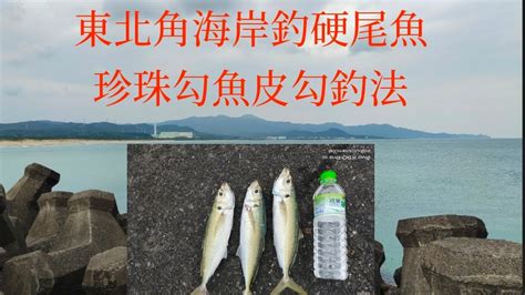 （26）東北角海岸釣場釣硬尾魚珍珠勾魚皮勾釣法臺灣釣魚 Youtube