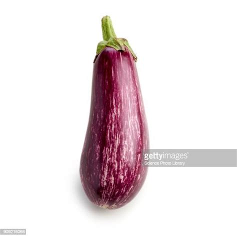 16,863 Aubergine Color Stock Photos, High-Res Pictures, and Images ...