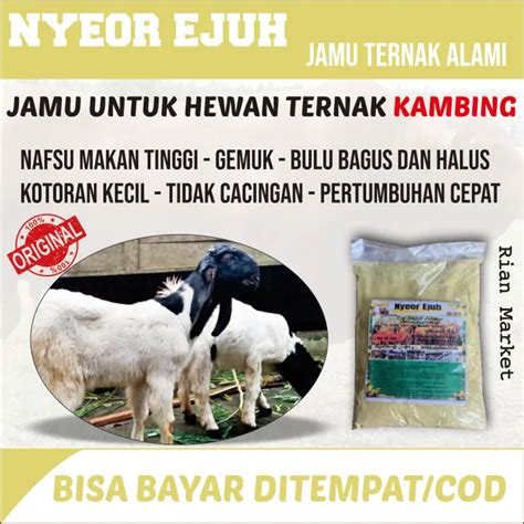 Vitamin Alami Untuk Pertumbuhan Hewan Ternak Hewan Kurban NYEOR EJUH