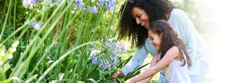 Scarborough Alliance Group Tips For Financial Spring Cleaning