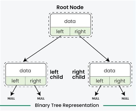 Binary Tree Representation Geeksforgeeks