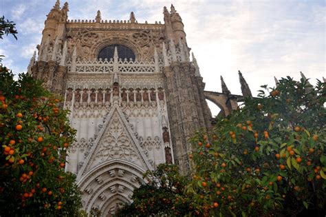 Seville Cathedral And Giralda Tower Guided Tour And Tickets GetYourGuide