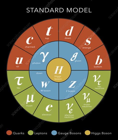 Standard Model Of Particle Physics Illustration Stock Image C