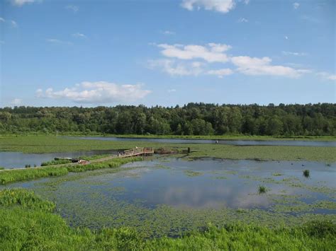 Burnaby Lake Regional Park - Alchetron, the free social encyclopedia