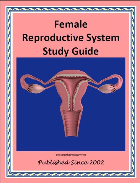 Female Reproductive System Study Guide Science Supplies Science Kits