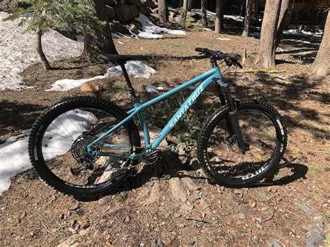 Santa Cruz Chameleon Medium For Sale