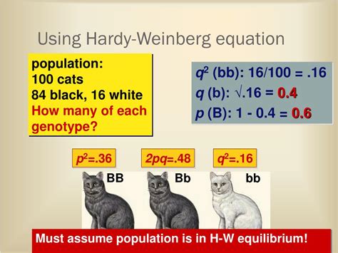 Ppt Measuring Evolution Of Populations Powerpoint Presentation Free