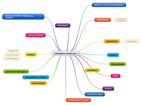 Primeros Auxilios Mind Map